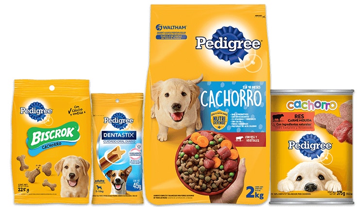 product-landing-hero-puppy