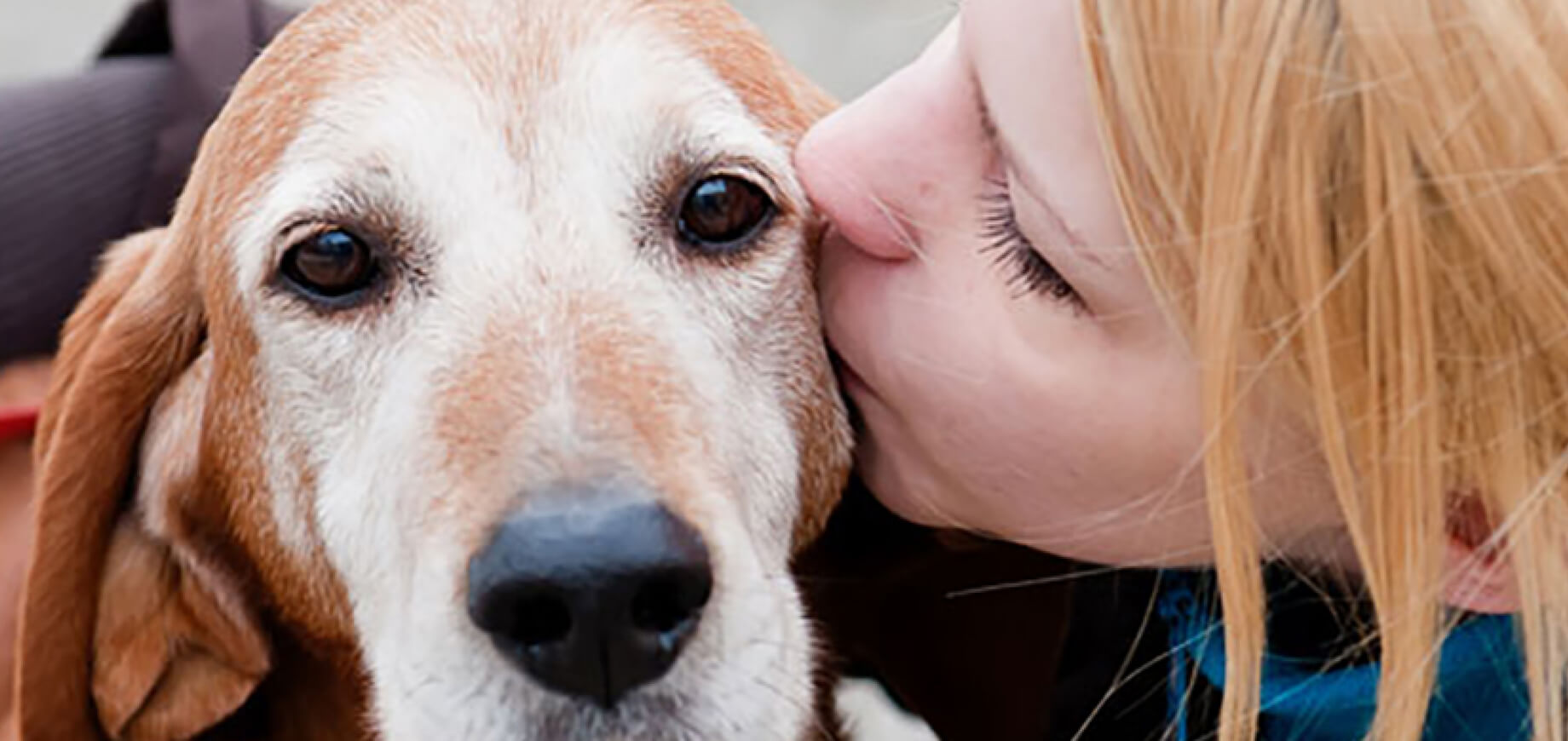 Reading your dog’s body language