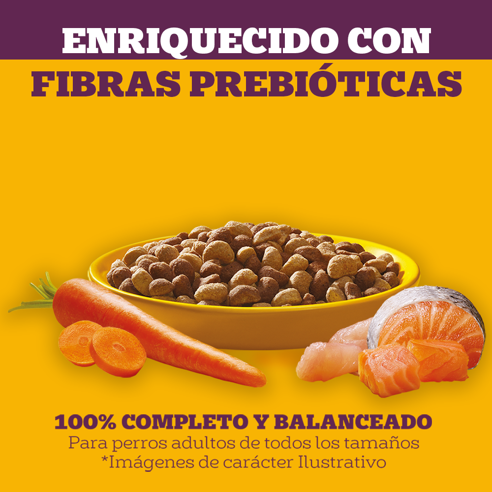 Secondary_SalmonPavoZanahoria